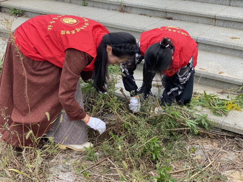 1653530315384155.jpg 33.jpg