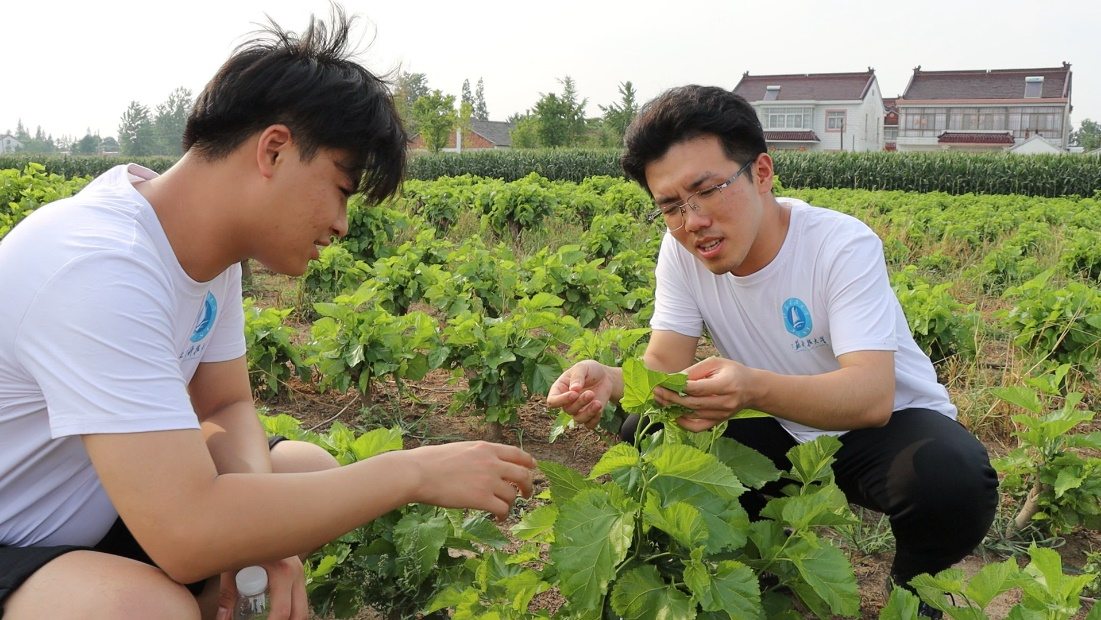 1656926935960796.png 图片3.png