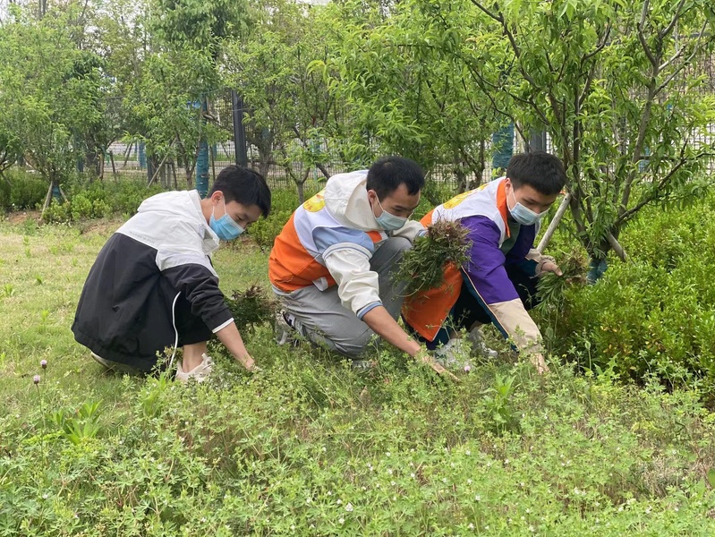 1651454066168919.jpg 33.jpg