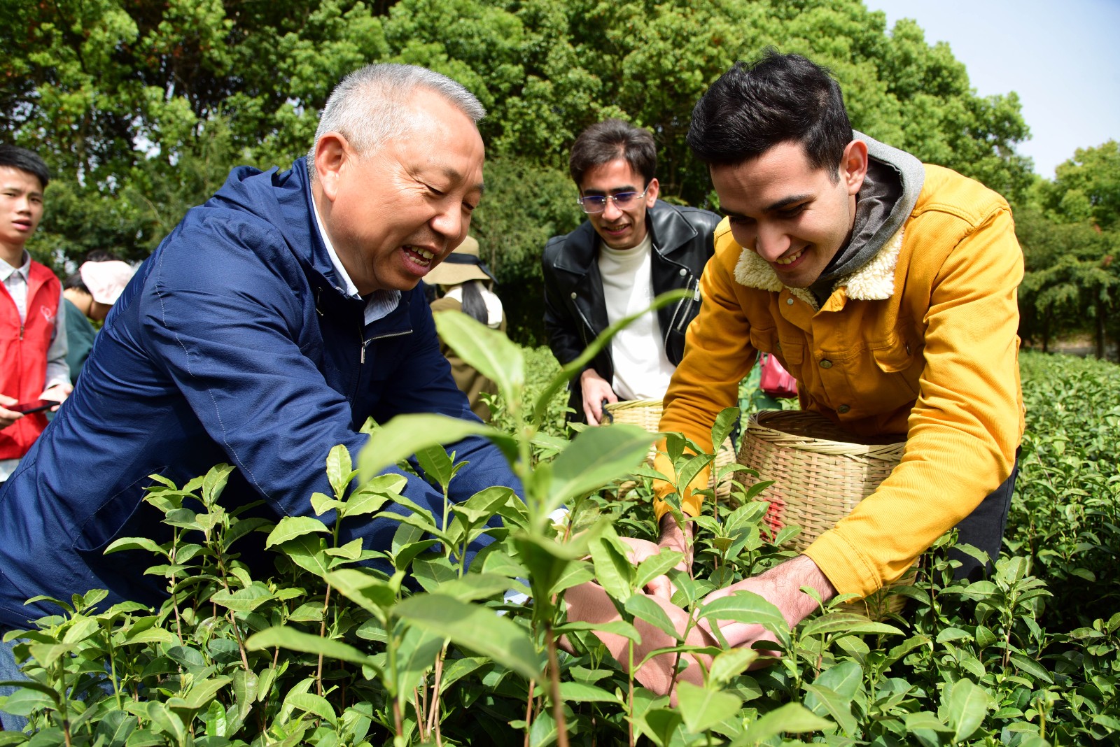 1681301280192214.jpg 图一.jpg