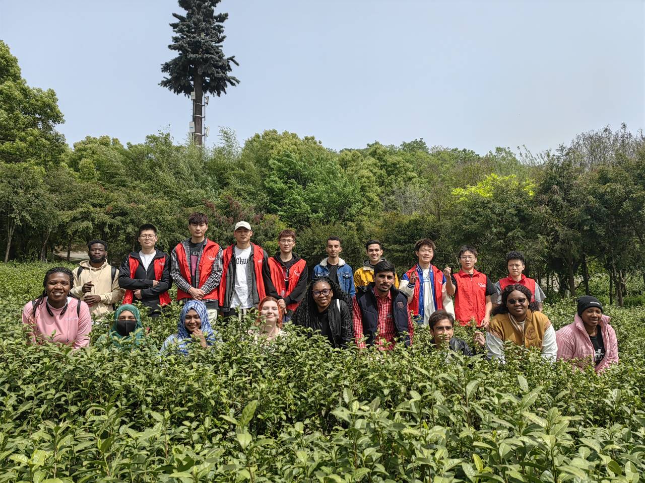 1681301287365130.jpg 图三.jpg