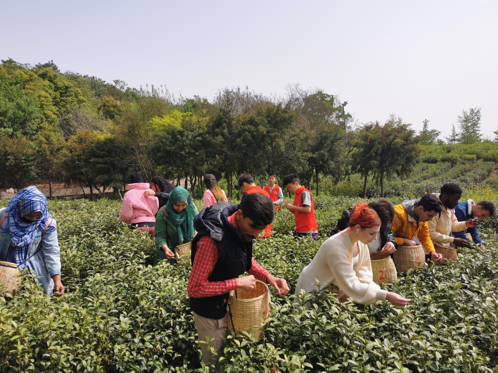 1681301293802899.jpg 图四.jpg