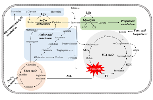 1667354024643540.png image.png