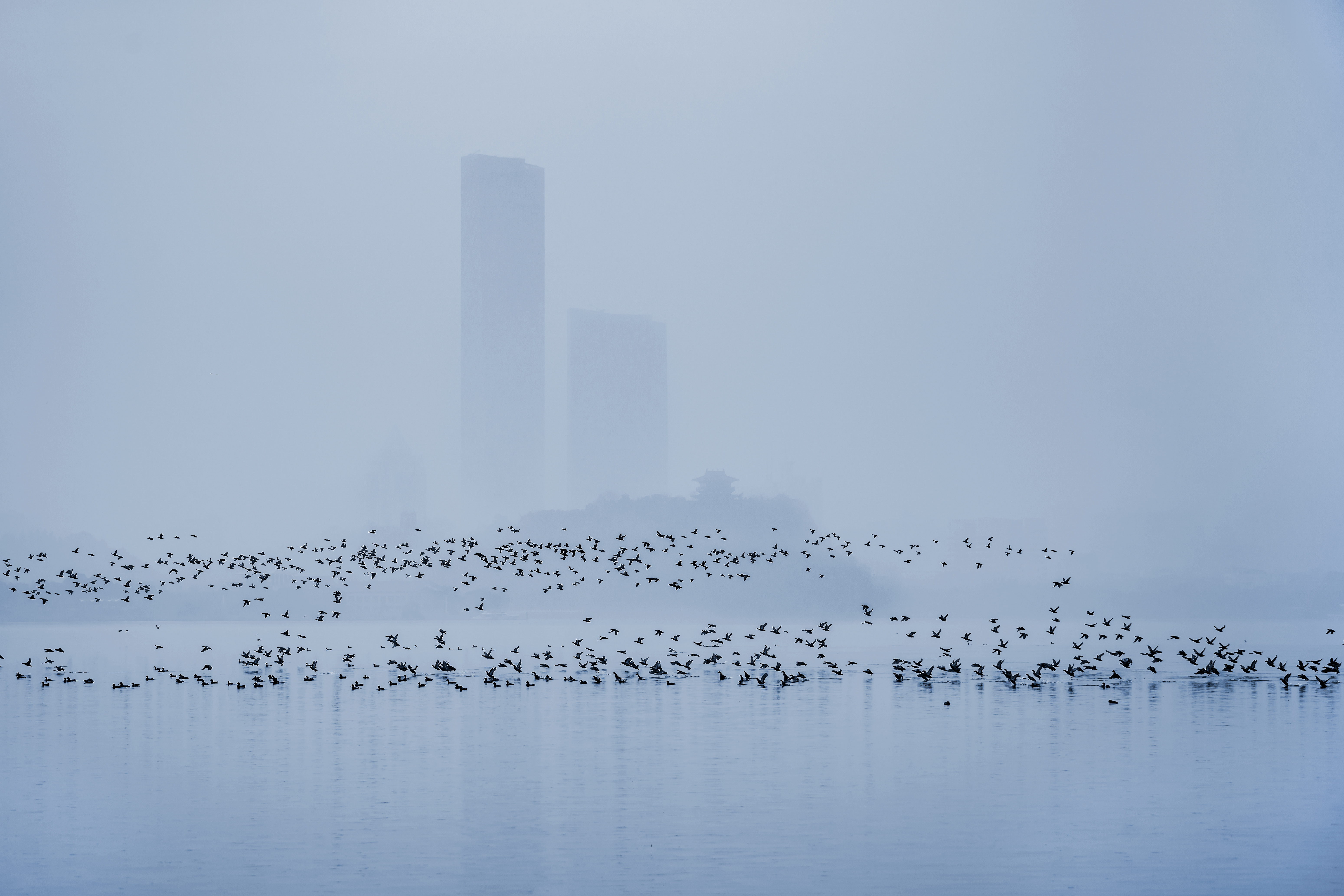 1653442768763046.jpg 《雾锁北固任尔飞》+刘向东+2019.2.6+拍摄于镇江市金山湖.jpg
