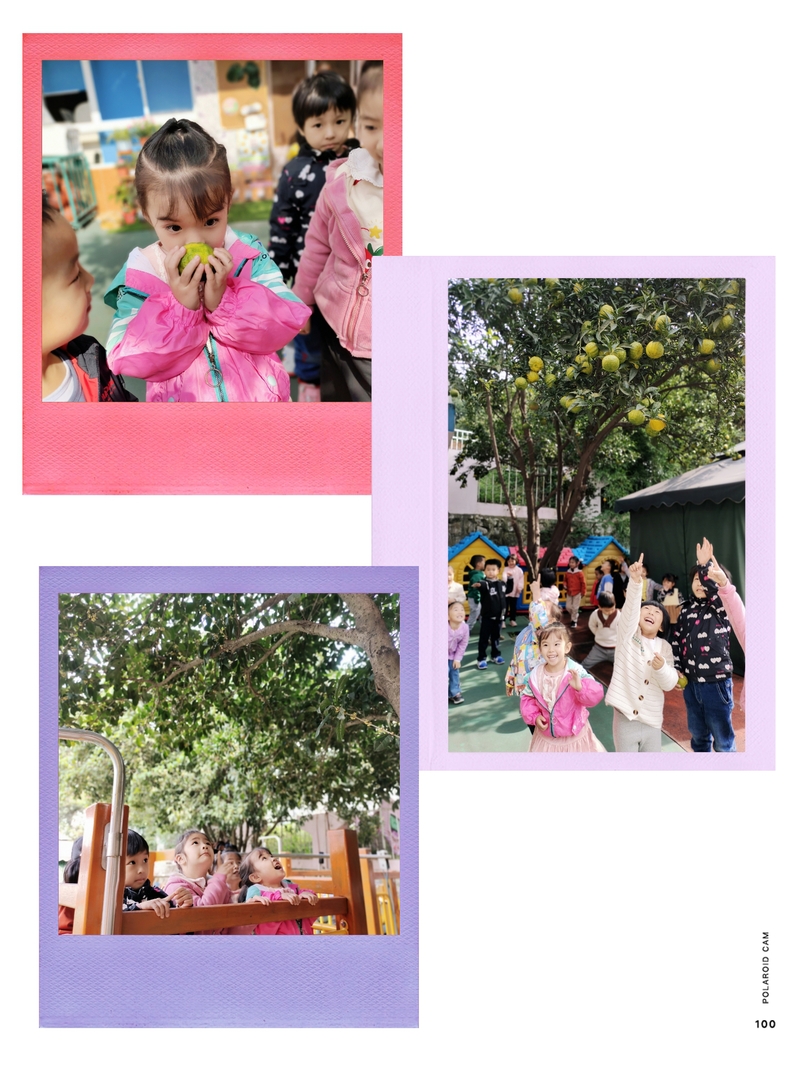 d23c8e91-fd73-4f65-95b1-70ad4ad39b97.jpg