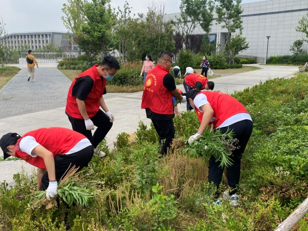 1653531767264612.png 图片2.png