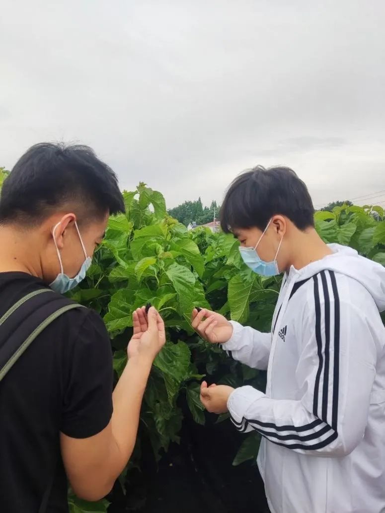 1653358399305145.jpg 1653358399305145.jpg