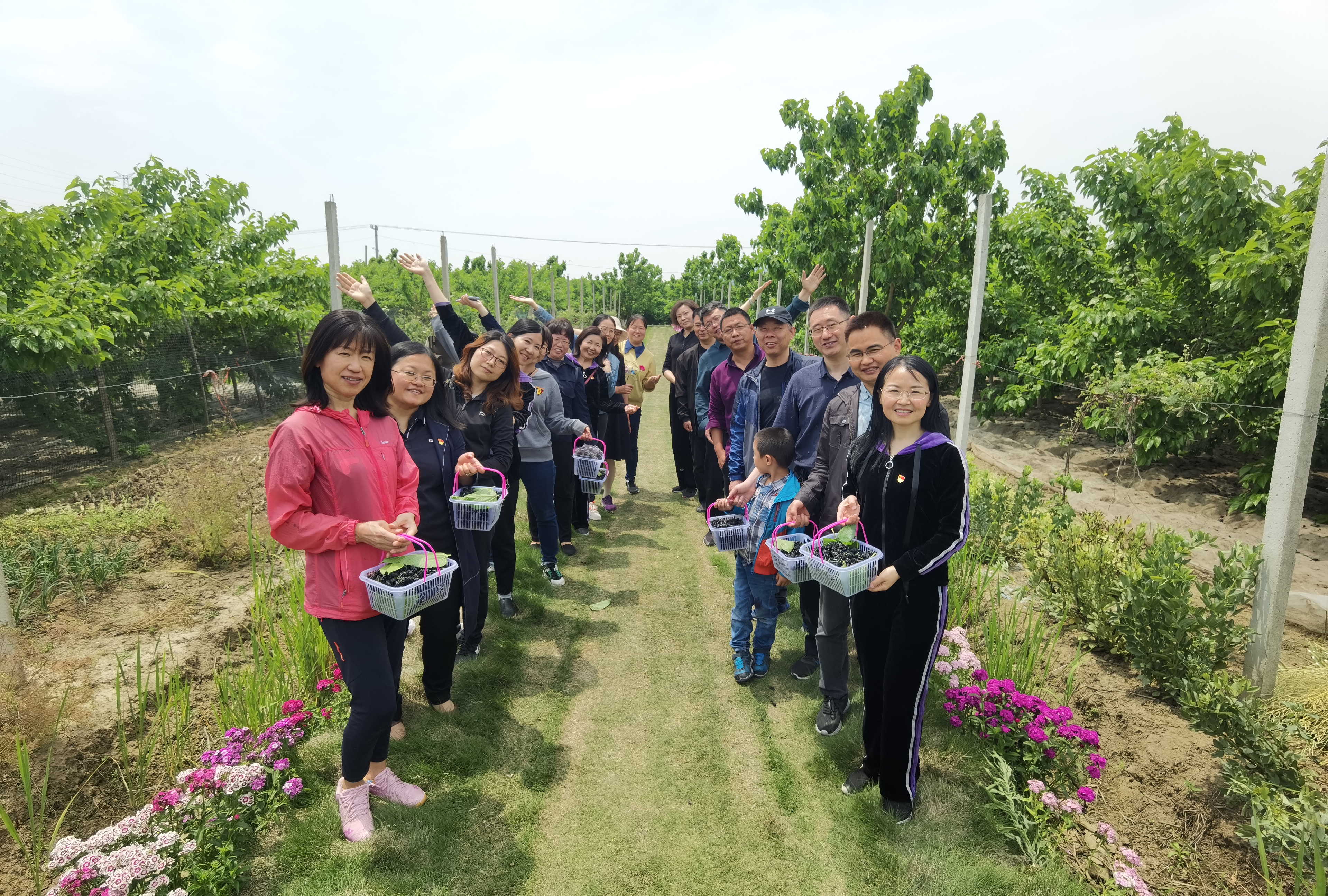 1652600556633797.jpg 1652600556633797.jpg