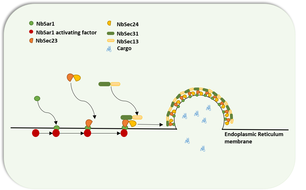 1667371139520114.png 图片2.png