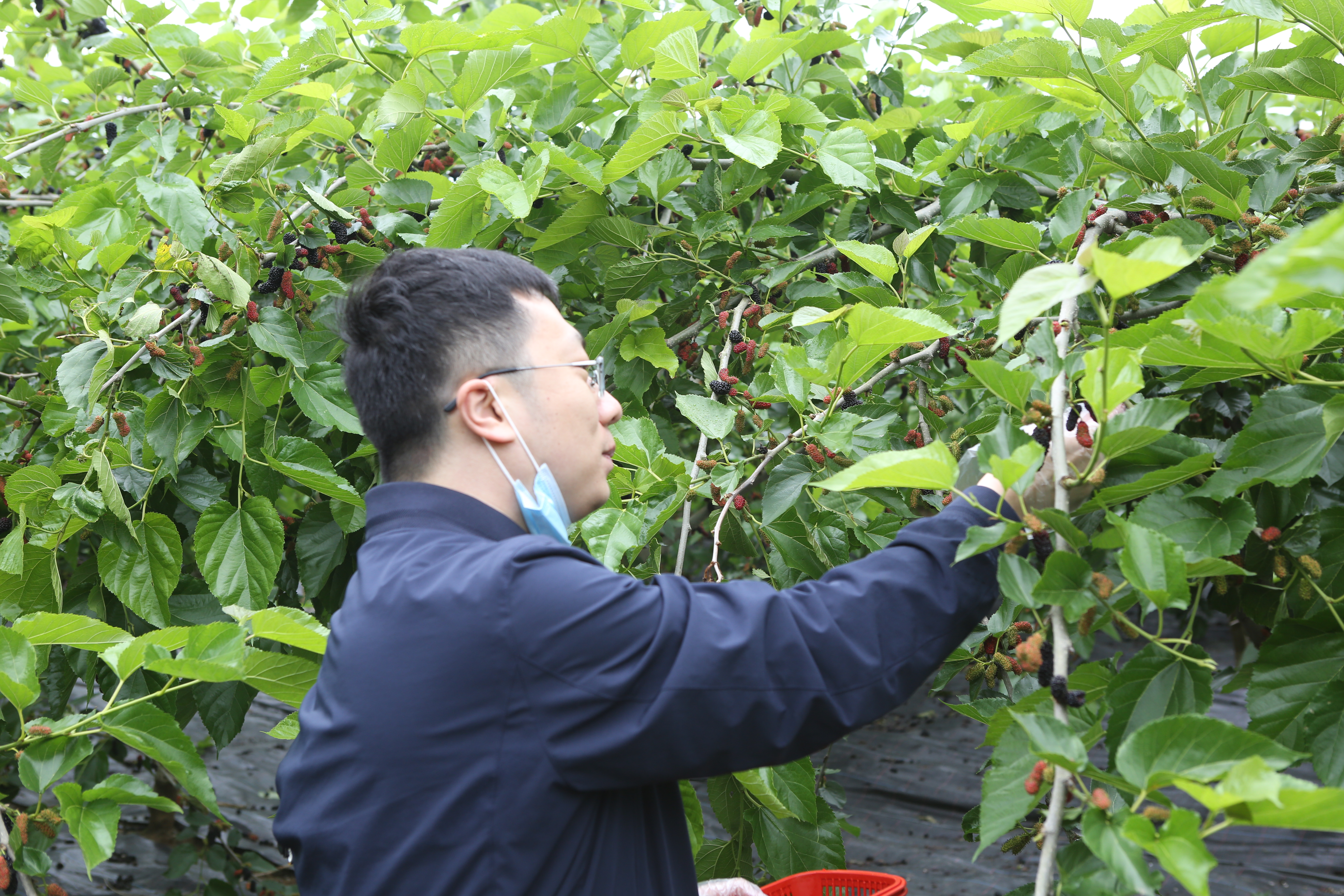 1652455371614701.jpg mmexport1652442506807.jpg