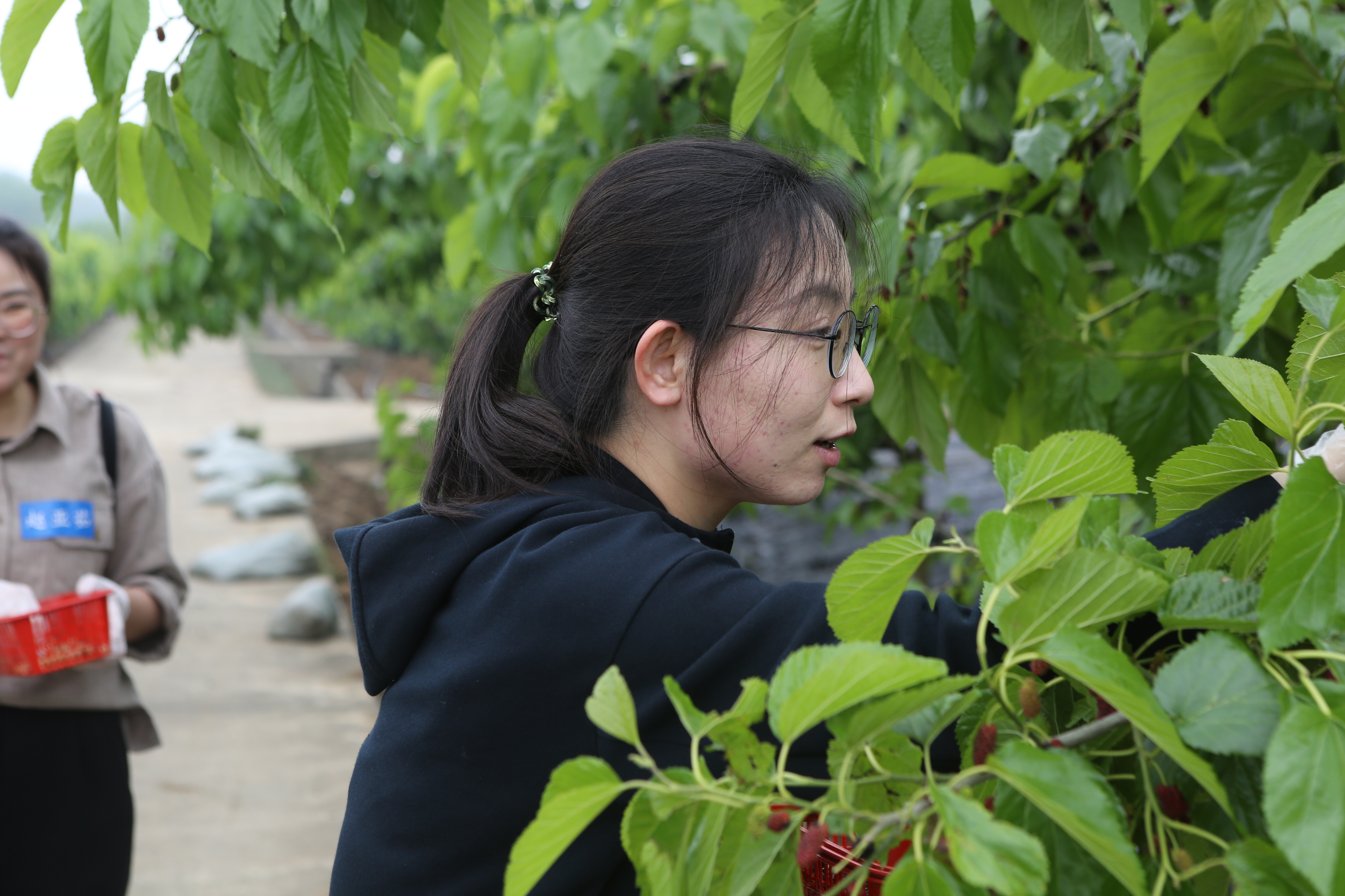 1652455393770393.jpg mmexport1652442685279.jpg