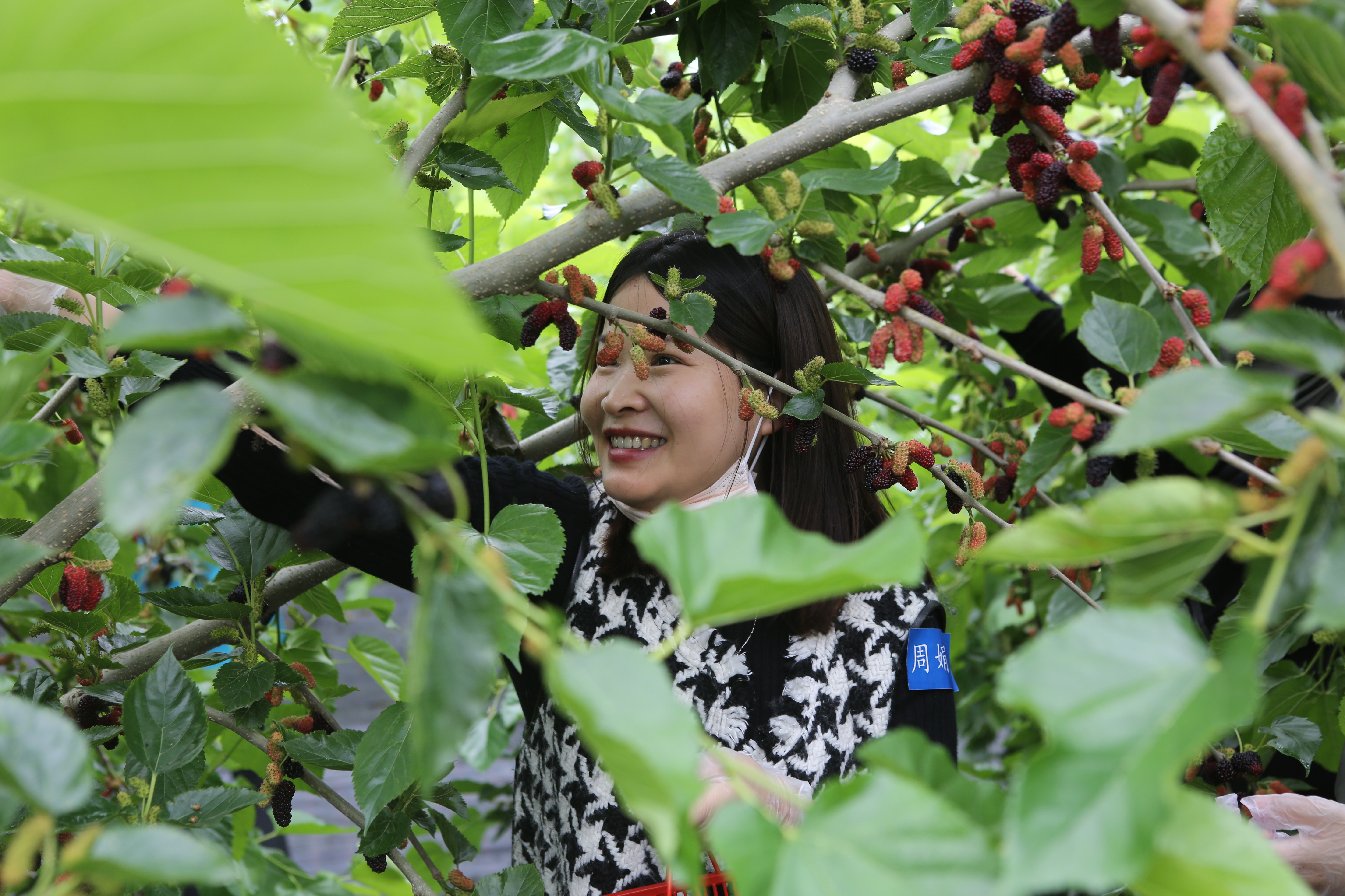 1652455346282051.jpg mmexport1652442547652.jpg