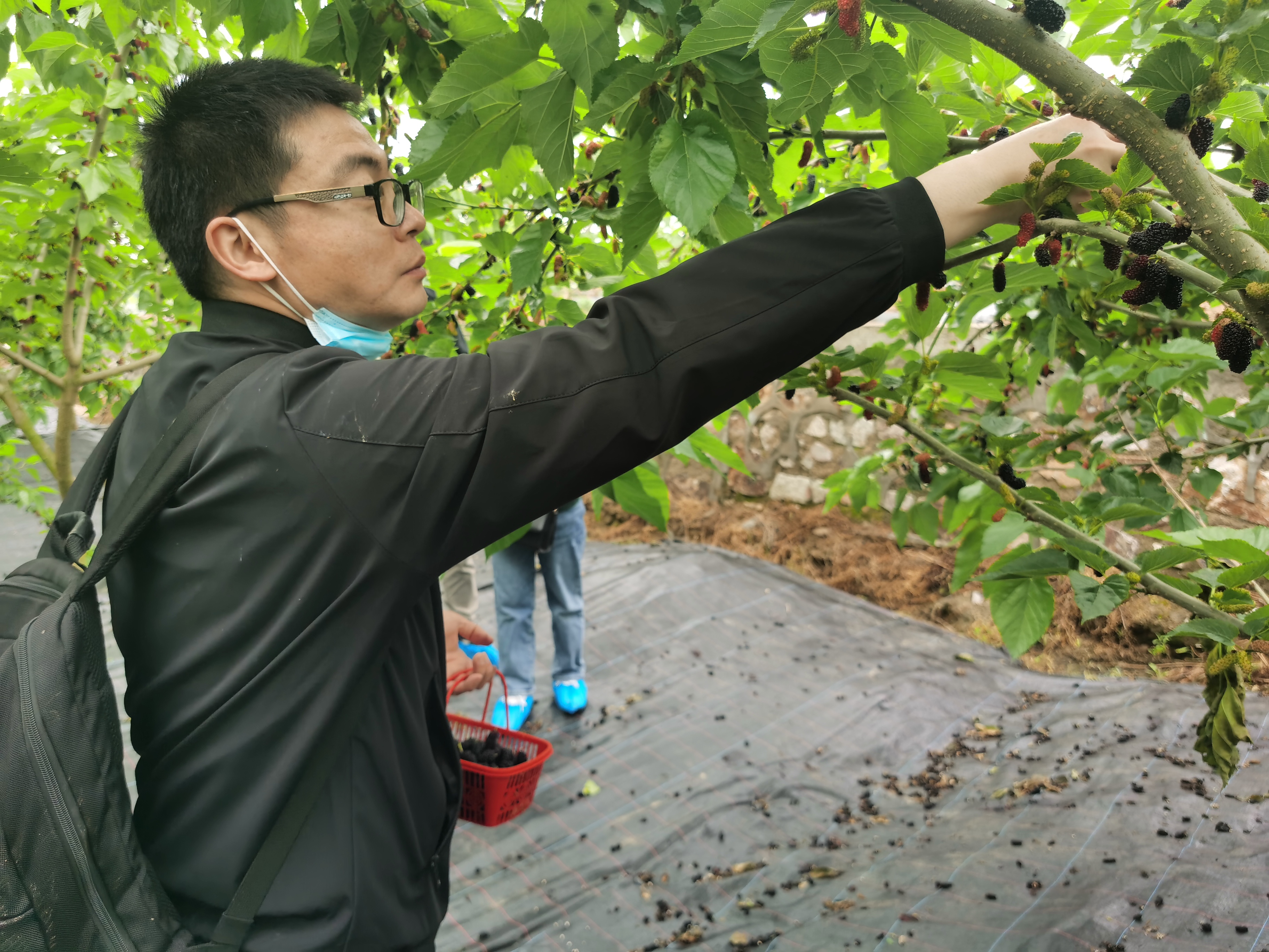 1652455417571263.jpg IMG_20220511_094424_1.jpg