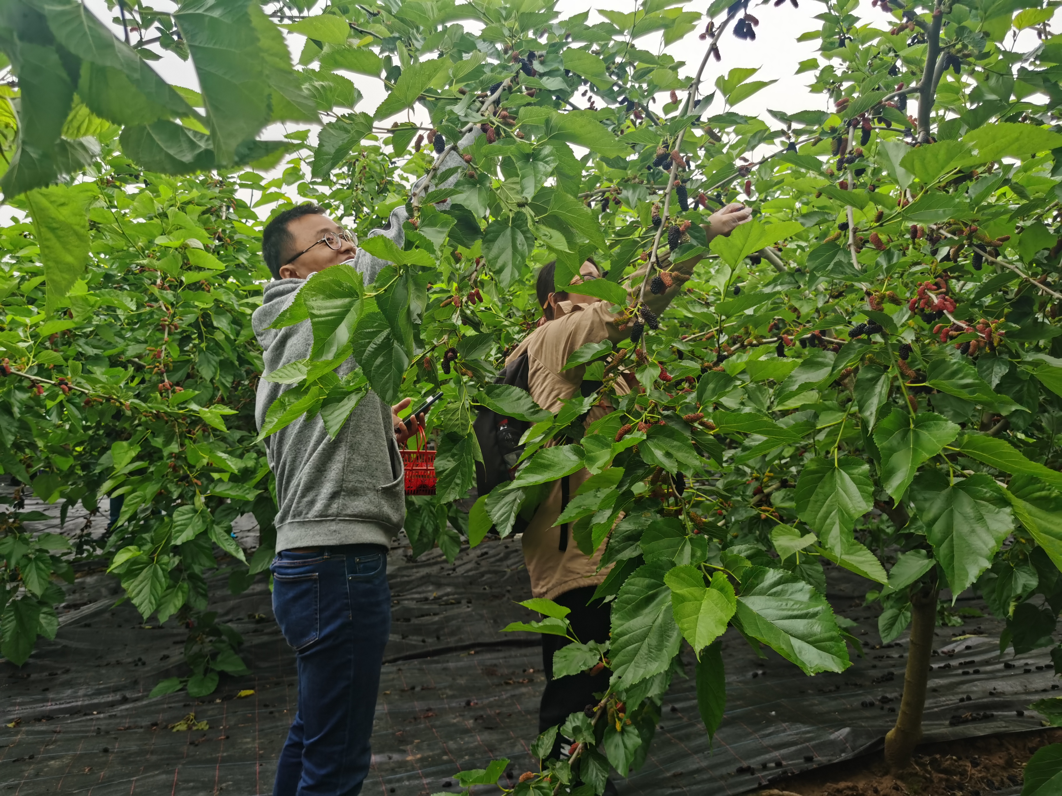 1652455733168780.jpg IMG_20220511_093333.jpg