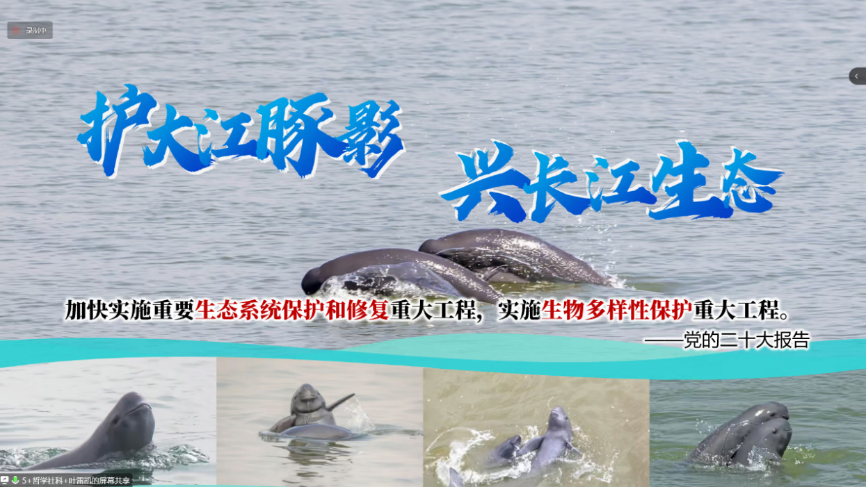 1675416565531583.png 图片 9.png