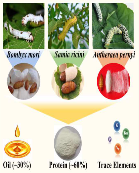 1672453764305568.png 图片2.png