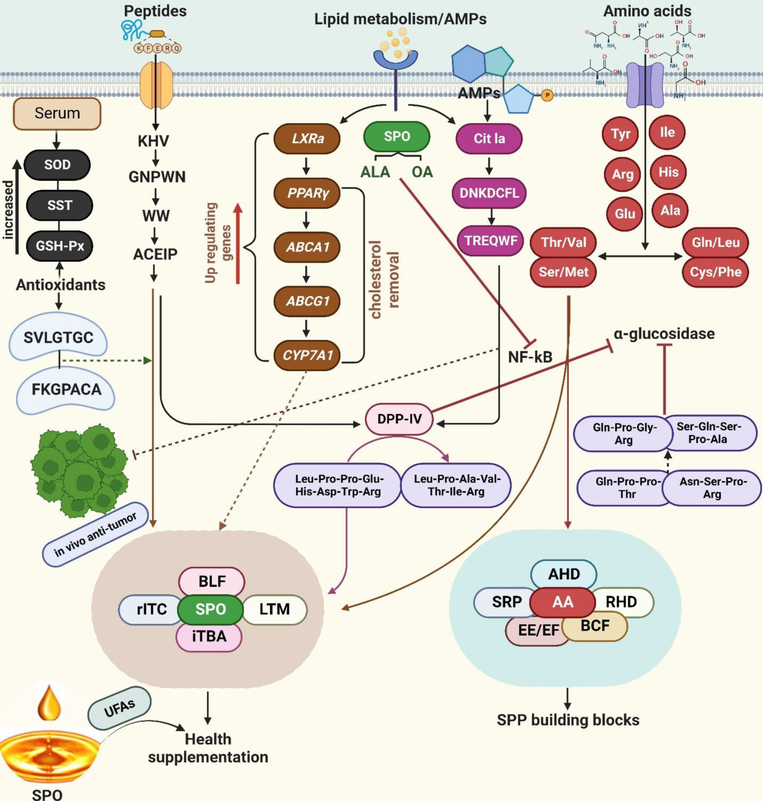 1672453783295871.png 图片3.png