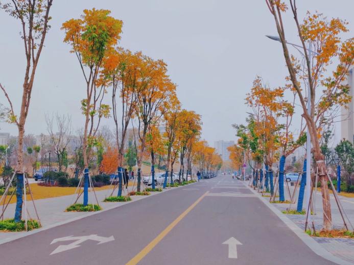 1670487582163326.jpg 材料学院-陈真.jpg