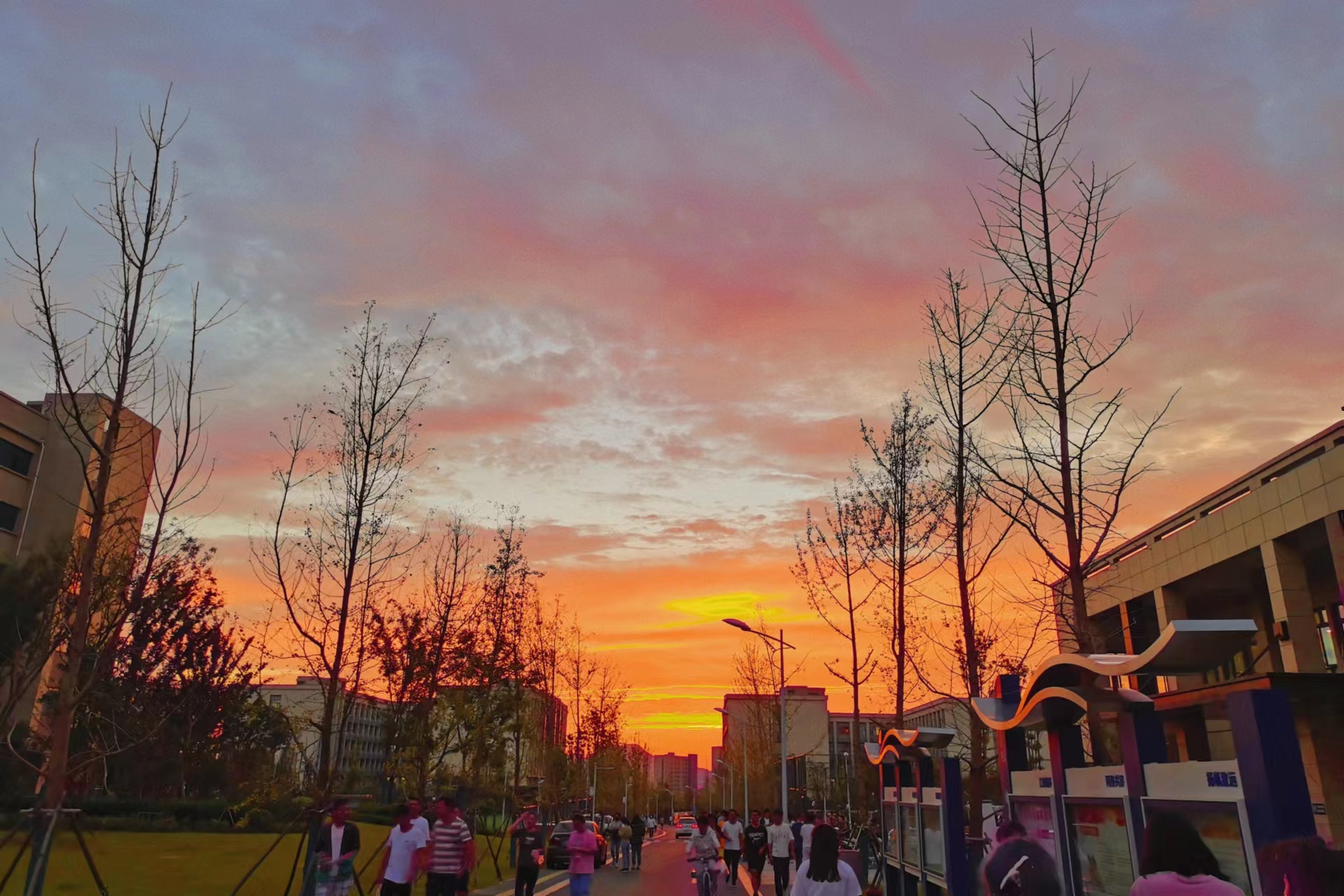 1670487627553986.jpg 材料学院-罗维雪.jpg