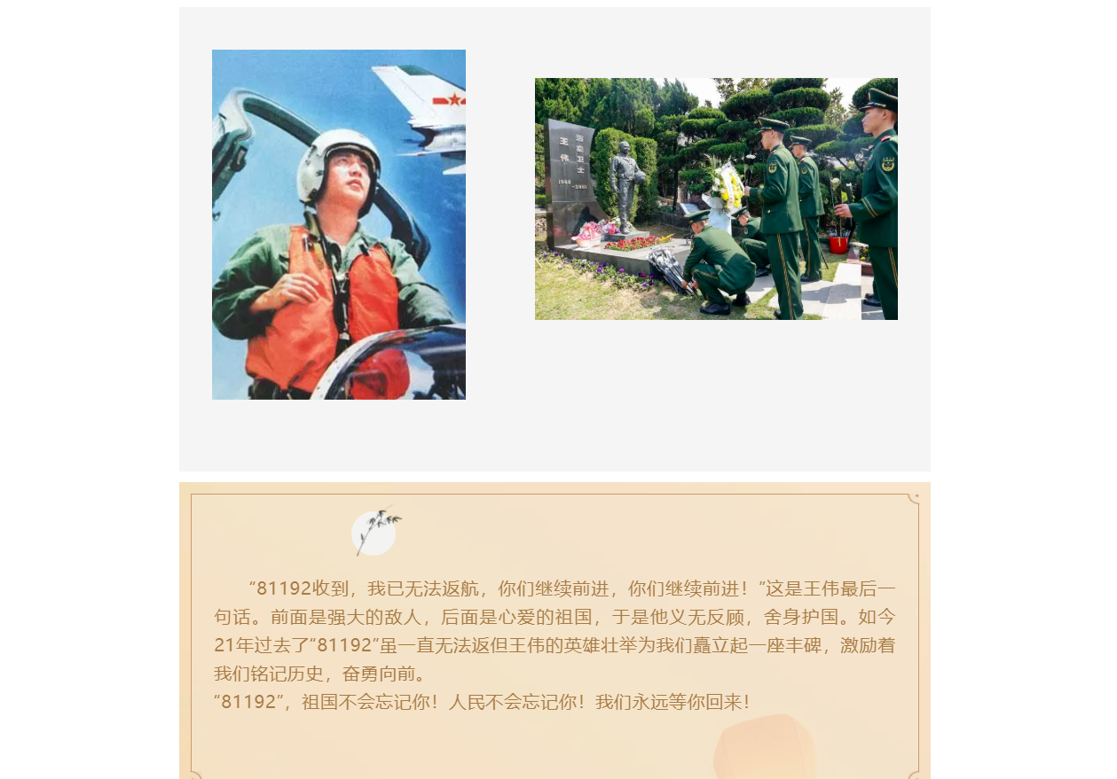 1649215295817398.png 致敬海空卫士王伟.png