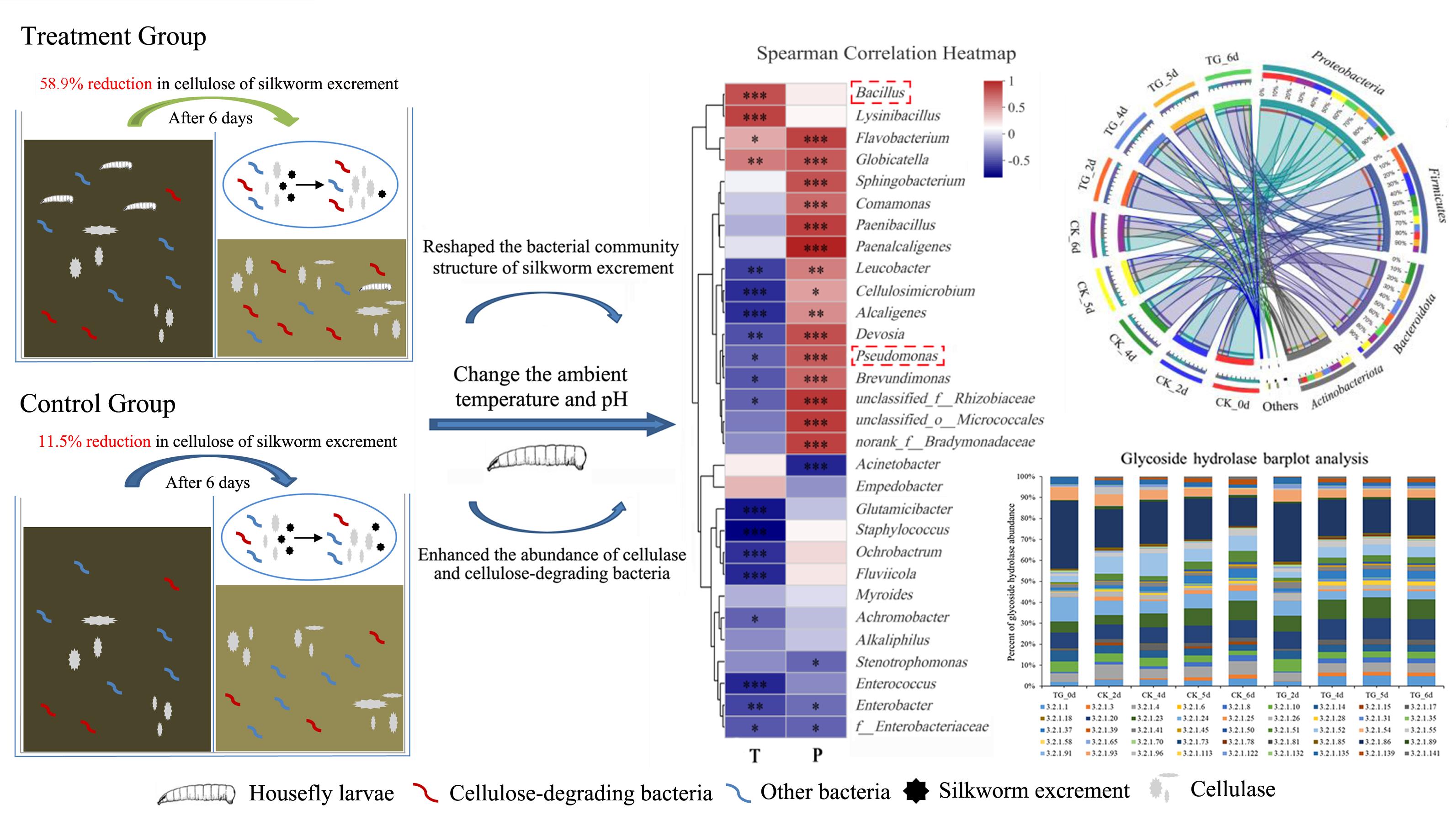 1667548764202487.jpg 图片2.jpg
